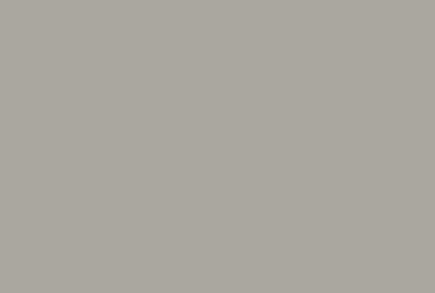 Ash Gray - Standard Color