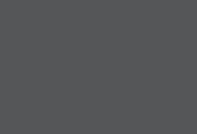 Charcoal Gray - Standard Color