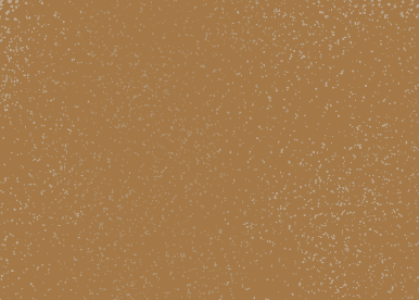 Copper Penny - Standard Color
